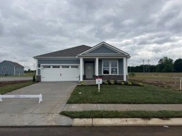 613 Sun Bear Ln , Mount Pleasant, TN 38474