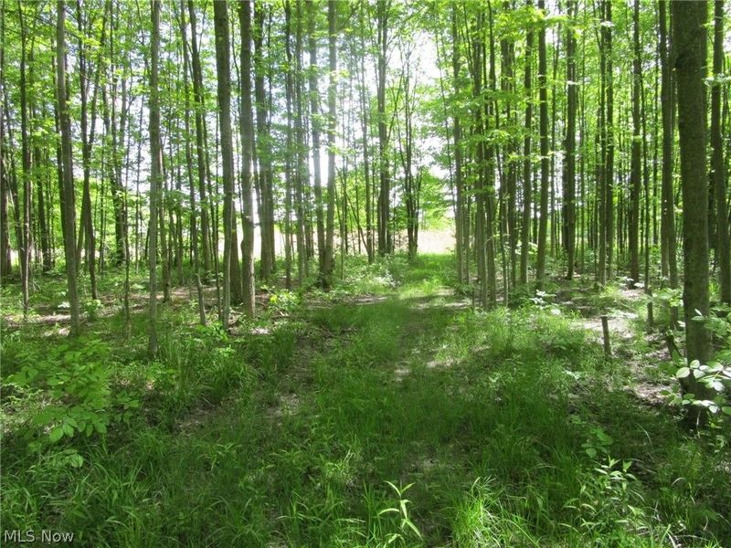 VL Doyle Road, Jefferson, OH 44047 Photo 10