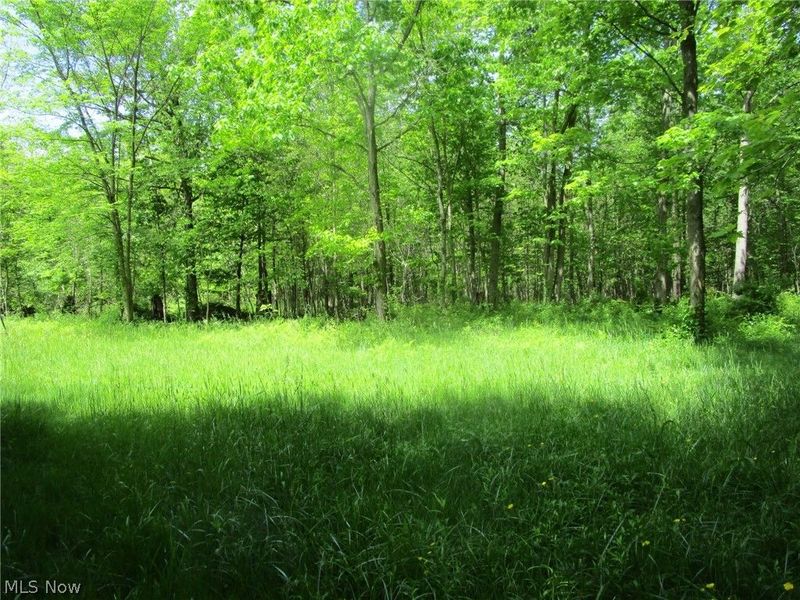 VL Doyle Road, Jefferson, OH 44047 Photo 11