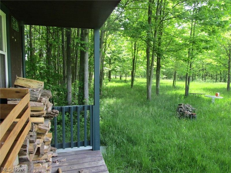 VL Doyle Road, Jefferson, OH 44047 Photo 18