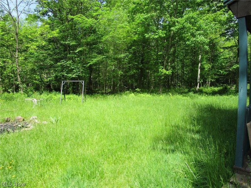 VL Doyle Road, Jefferson, OH 44047 Photo 20