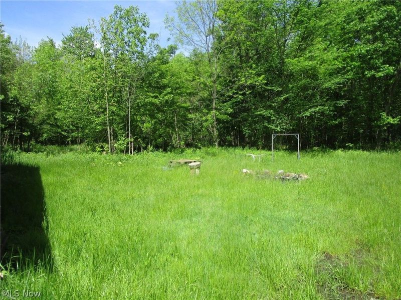 VL Doyle Road, Jefferson, OH 44047 Photo 21