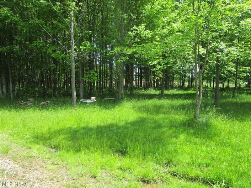 VL Doyle Road, Jefferson, OH 44047 Photo 26