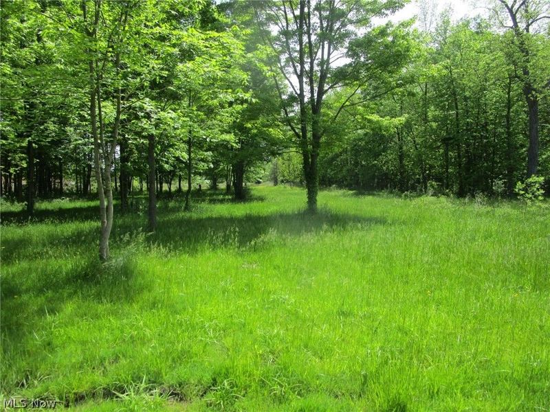 VL Doyle Road, Jefferson, OH 44047 Photo 27
