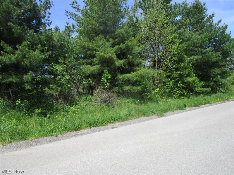 VL Doyle Road, Jefferson, OH 44047 Photo 3