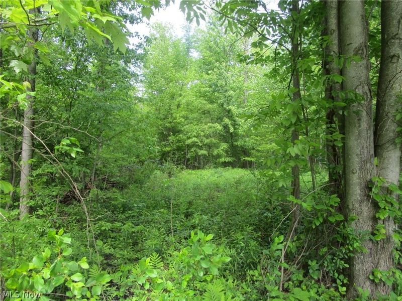 VL Doyle Road, Jefferson, OH 44047 Photo 31