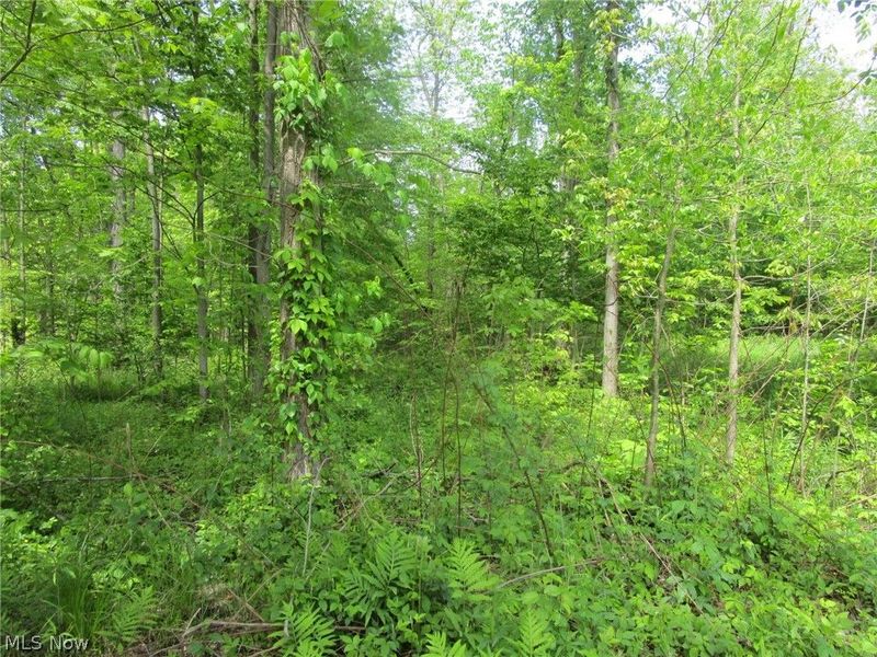 VL Doyle Road, Jefferson, OH 44047 Photo 32