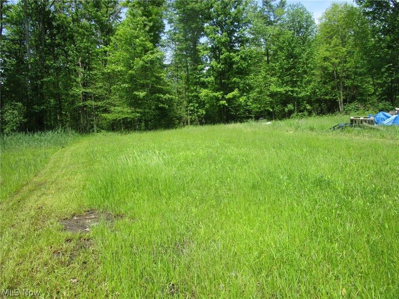 VL Doyle Road, Jefferson, OH 44047 Photo 33