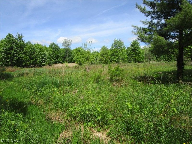 VL Doyle Road, Jefferson, OH 44047 Photo 35