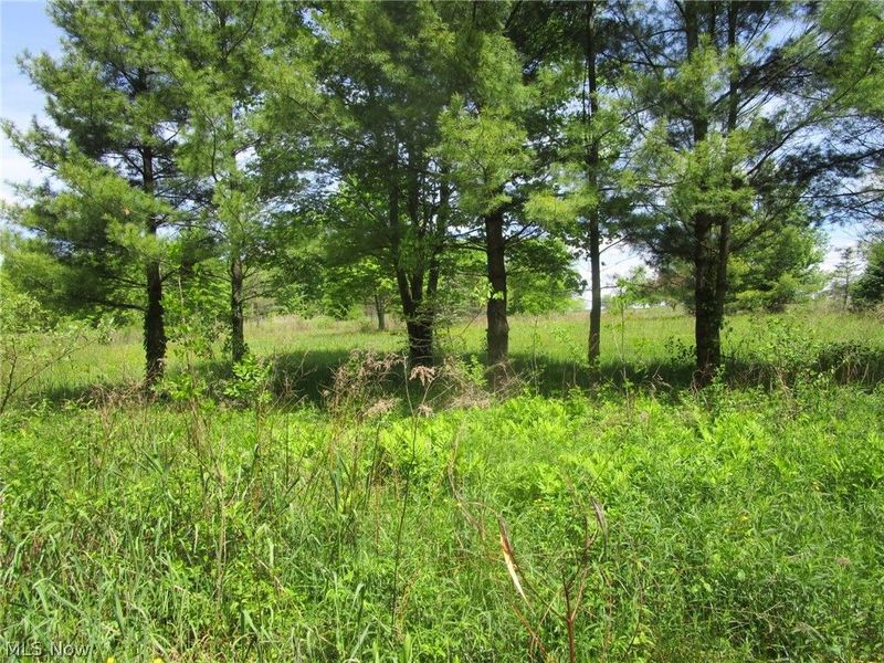 VL Doyle Road, Jefferson, OH 44047 Photo 36