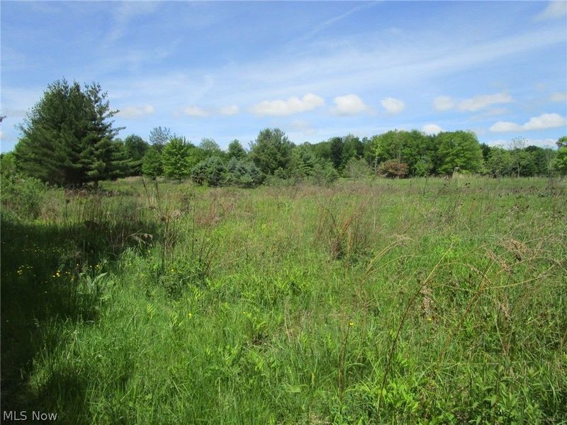 VL Doyle Road, Jefferson, OH 44047 Photo 37