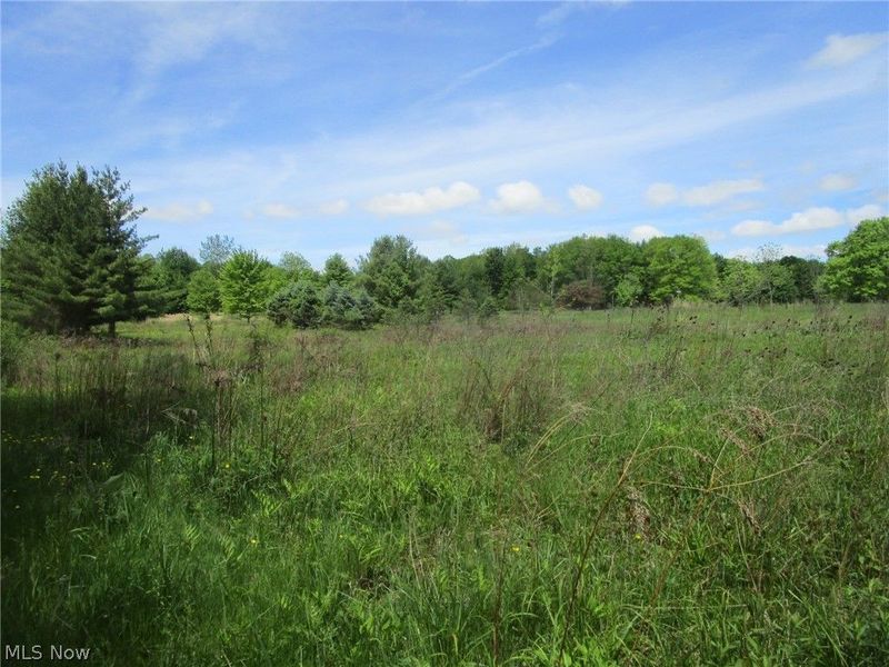 VL Doyle Road, Jefferson, OH 44047 Photo 38