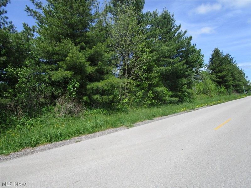 VL Doyle Road, Jefferson, OH 44047 Photo 4