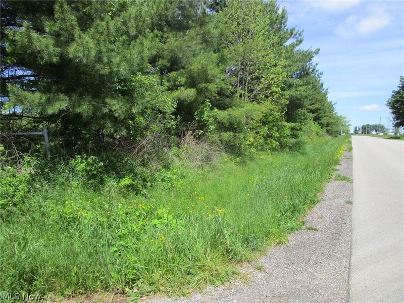 VL Doyle Road, Jefferson, OH 44047 Photo 5