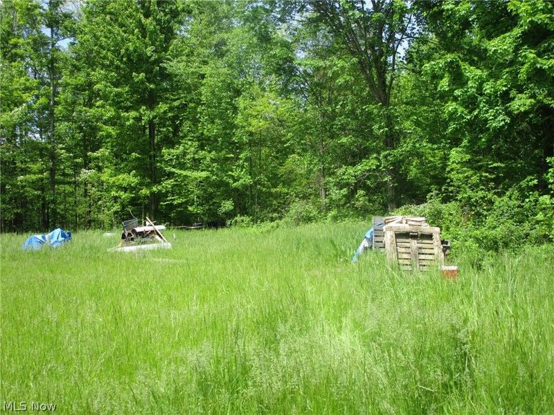 VL Doyle Road, Jefferson, OH 44047 Photo 6