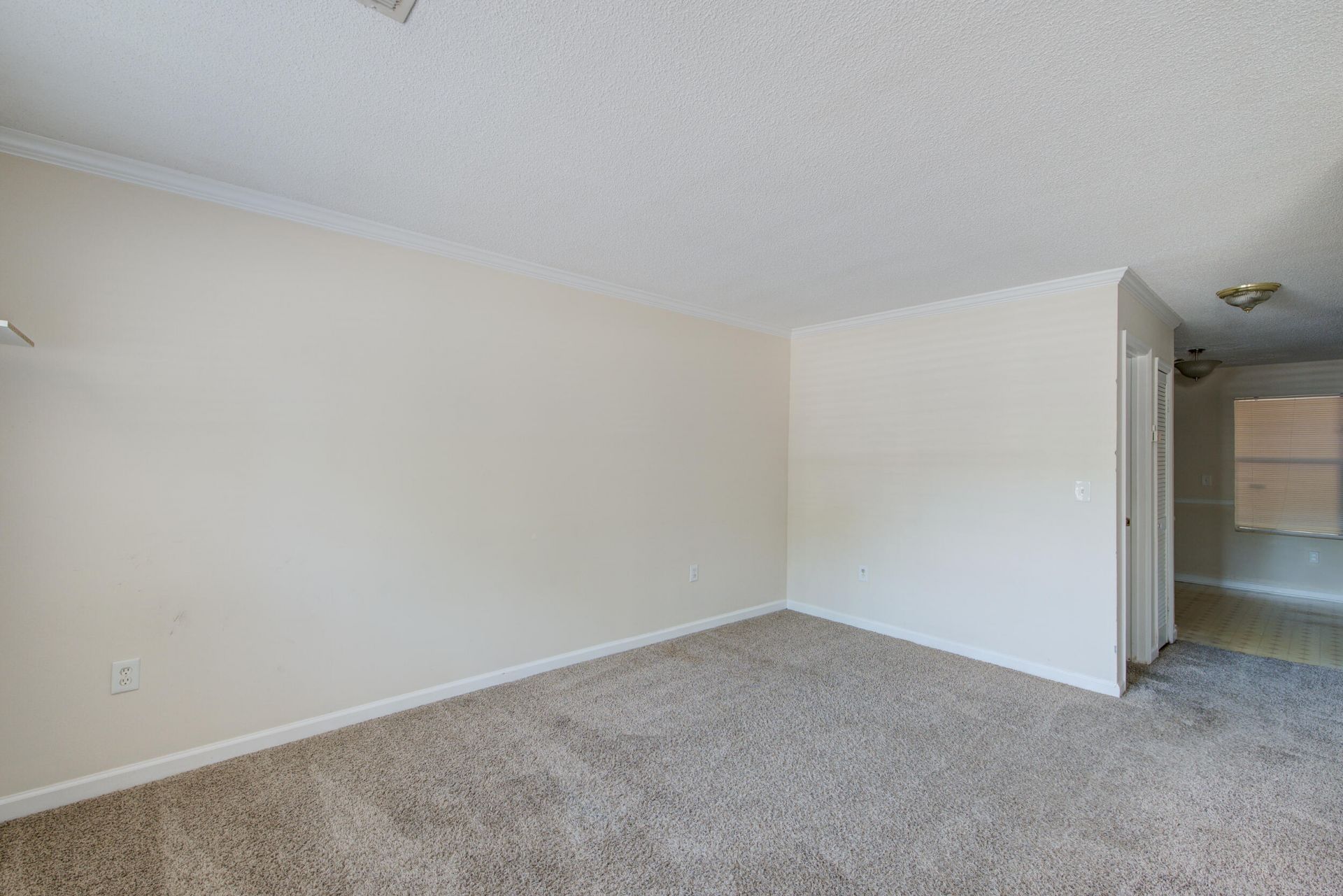6240 Lucille Drive Photo 22