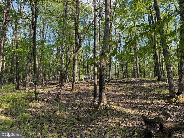 58 JAY PEAK LANE , ZION GROVE, PA 17985