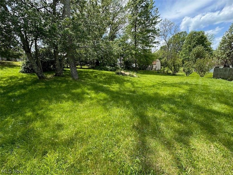 520 High Street, Pleasant City, OH 43772 Photo 22