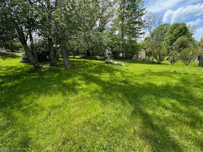 520 High Street, Pleasant City, OH 43772 Photo 24