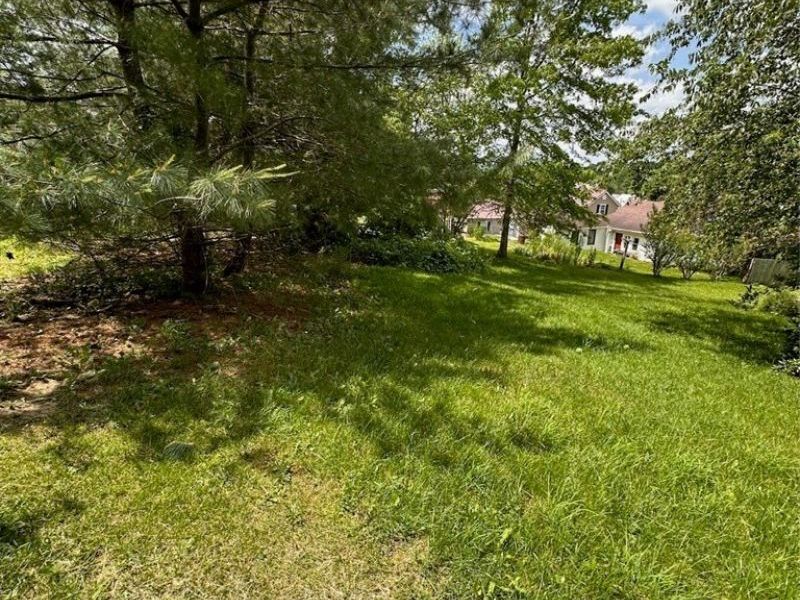 520 High Street, Pleasant City, OH 43772 Photo 26