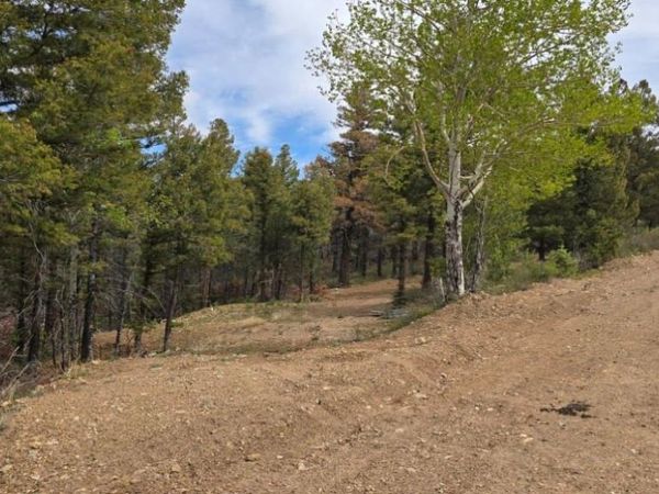 Lot 5825 Covington Road , Fort Garland, CO 81133