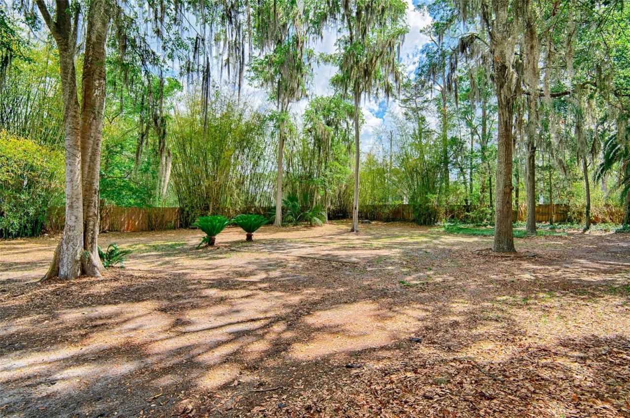12208 SW 9th Avenue , Newberry, FL 32669 Photo