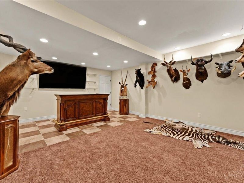 7723 White Swan Road, Georgetown, OH 45121 Photo 47