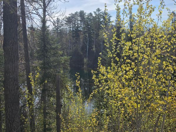 TBD S Thunder Lake Drive NE, Remer, MN 56672