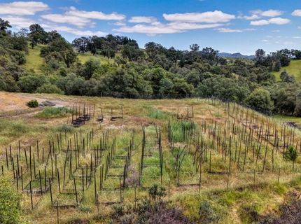 3466 Howard Rd, San Andreas, CA 95249 Photo