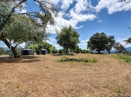 3466 Howard Rd, San Andreas, CA 95249 Photo