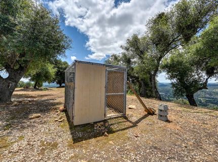 3466 Howard Rd, San Andreas, CA 95249 Photo