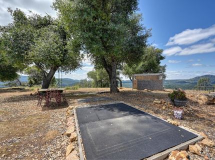 3466 Howard Rd, San Andreas, CA 95249 Photo