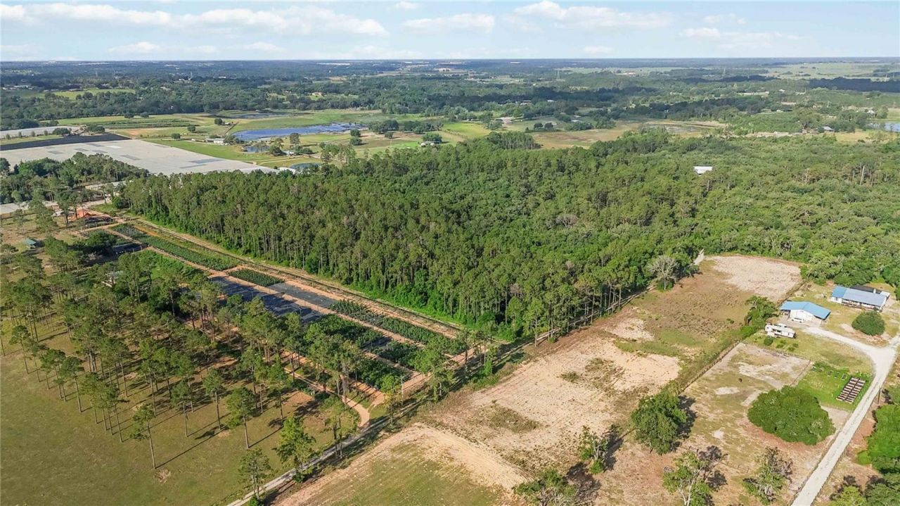 23175 N Buckhill Road , Howey in the Hills, FL 34737 Photo