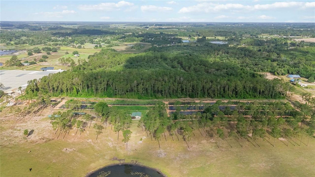 23175 N Buckhill Road , Howey in the Hills, FL 34737 Photo