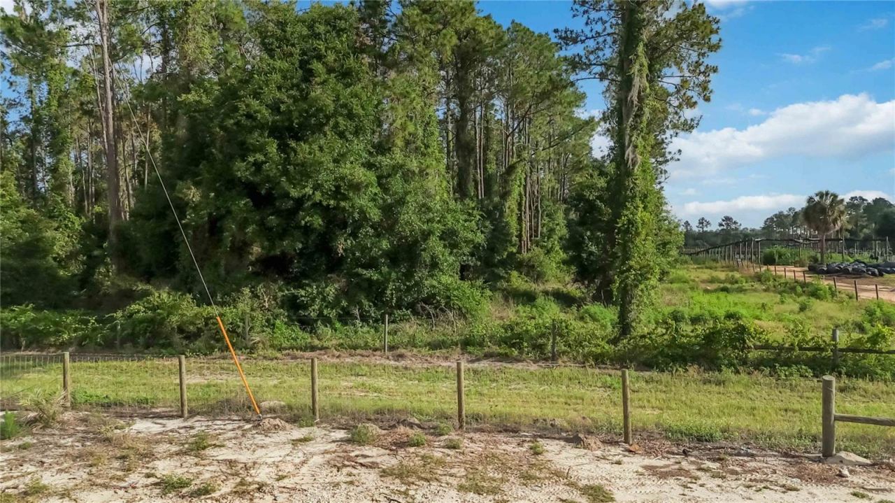 23175 N Buckhill Road , Howey in the Hills, FL 34737 Photo
