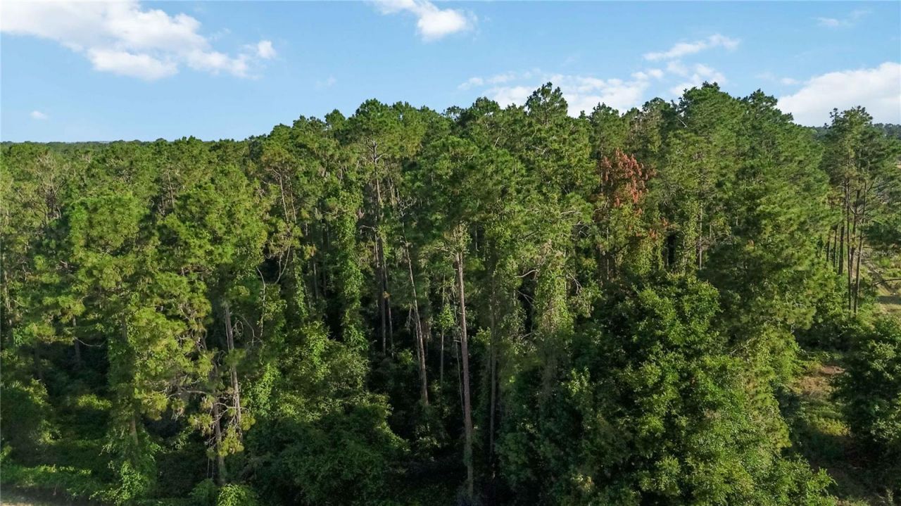 23175 N Buckhill Road , Howey in the Hills, FL 34737 Photo