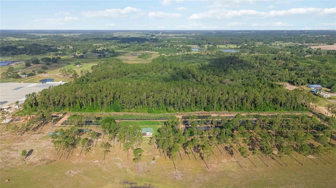 23175 N Buckhill Road , Howey in the Hills, FL 34737 Photo