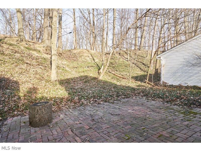 3645 Meadowbrook Boulevard, University Heights, OH 44118 Photo 18