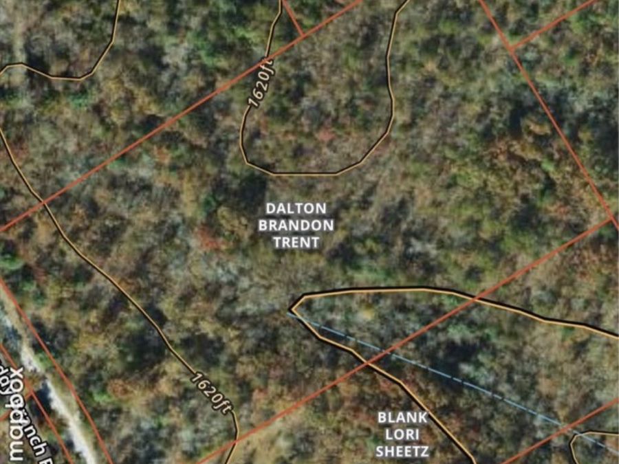Property Image 4