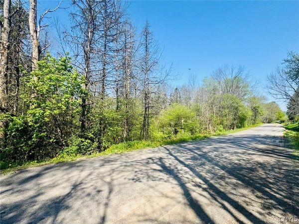 Dog Hollow Road , Truxton, NY 13158