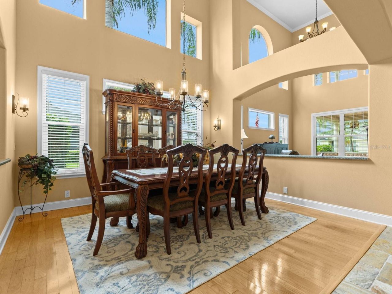 21019 Marsh Hawk Drive, Land O Lakes, FL 34638 Photo