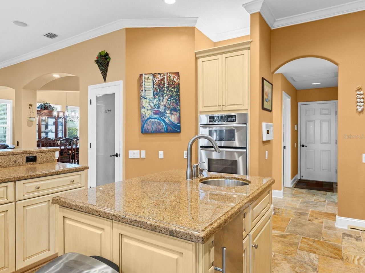21019 Marsh Hawk Drive, Land O Lakes, FL 34638 Photo