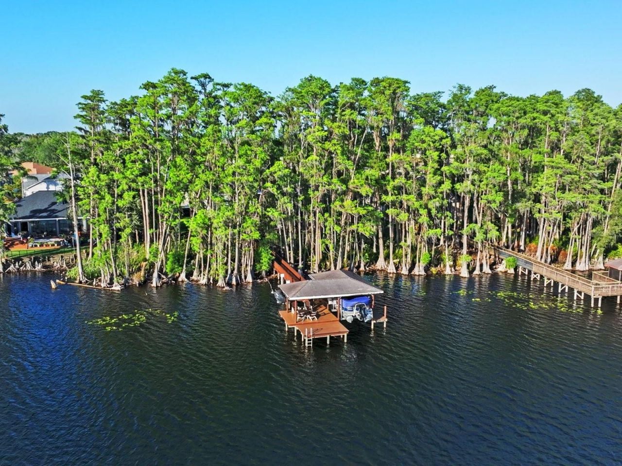 21019 Marsh Hawk Drive, Land O Lakes, FL 34638 Photo