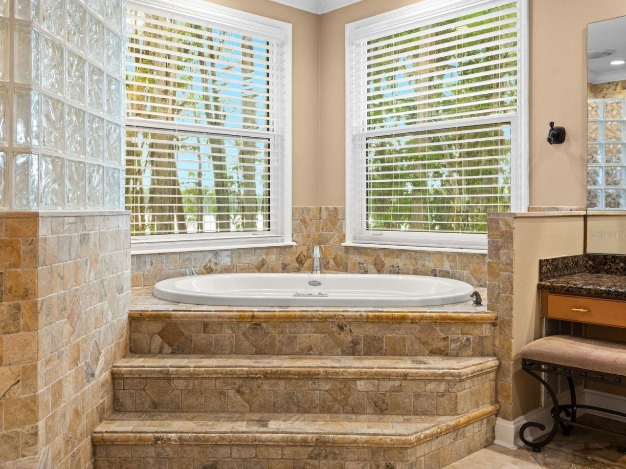 21019 Marsh Hawk Drive, Land O Lakes, FL 34638 Photo