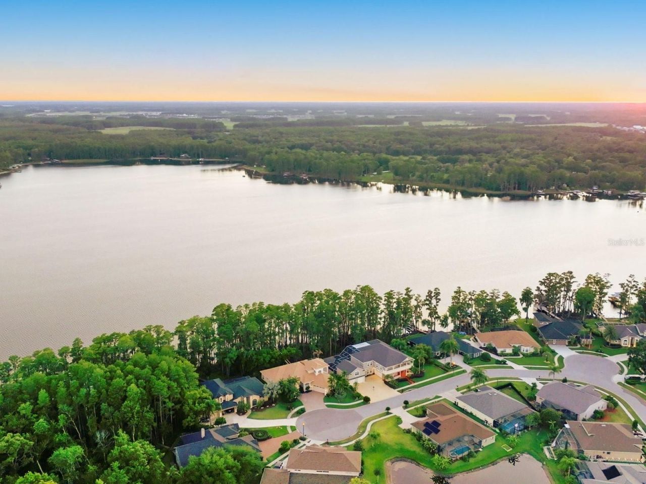 21019 Marsh Hawk Drive, Land O Lakes, FL 34638 Photo