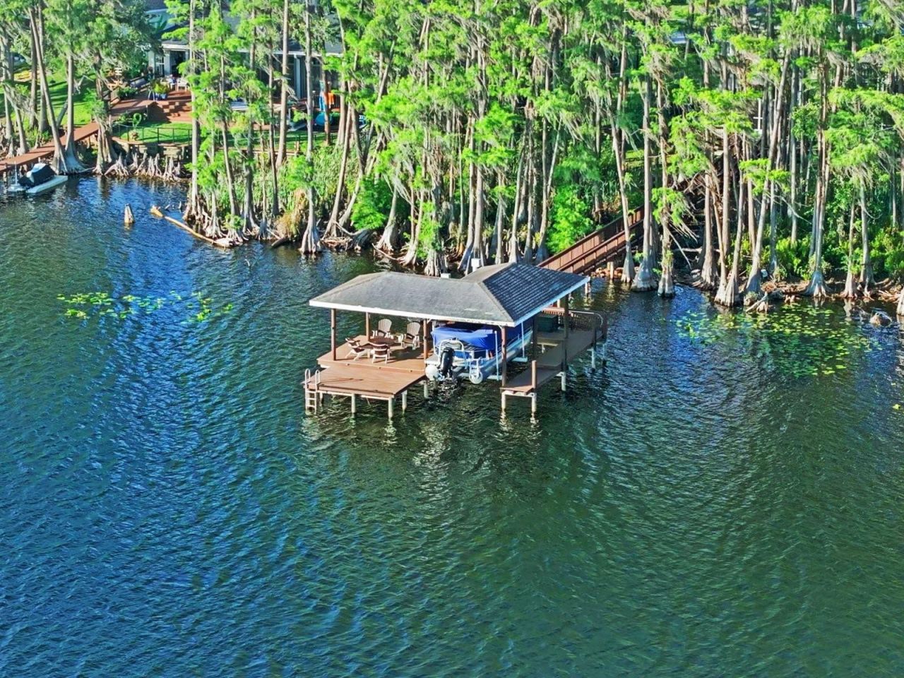 21019 Marsh Hawk Drive, Land O Lakes, FL 34638 Photo