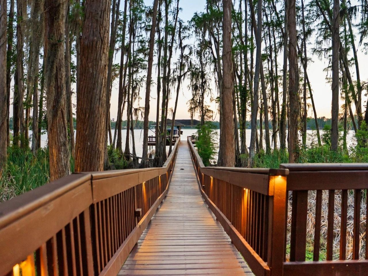 21019 Marsh Hawk Drive, Land O Lakes, FL 34638 Photo