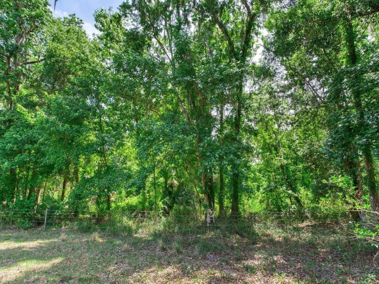 Spring Lake Highway , Brooksville, FL 34602 Photo