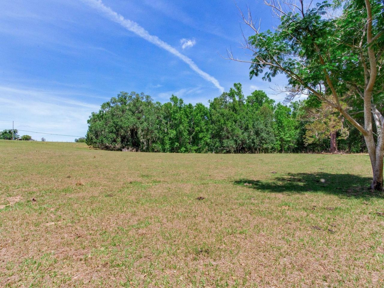 Spring Lake Highway , Brooksville, FL 34602 Photo