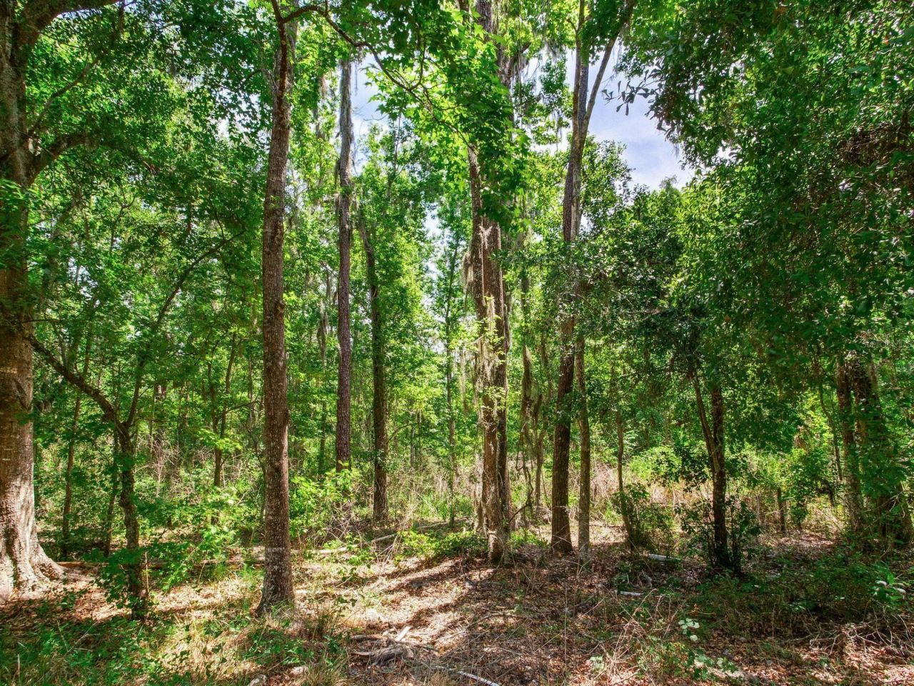 Spring Lake Highway , Brooksville, FL 34602 Photo